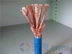 天康本安防爆計(jì)算機(jī)電纜 天康本安防爆計(jì)算機(jī)電纜